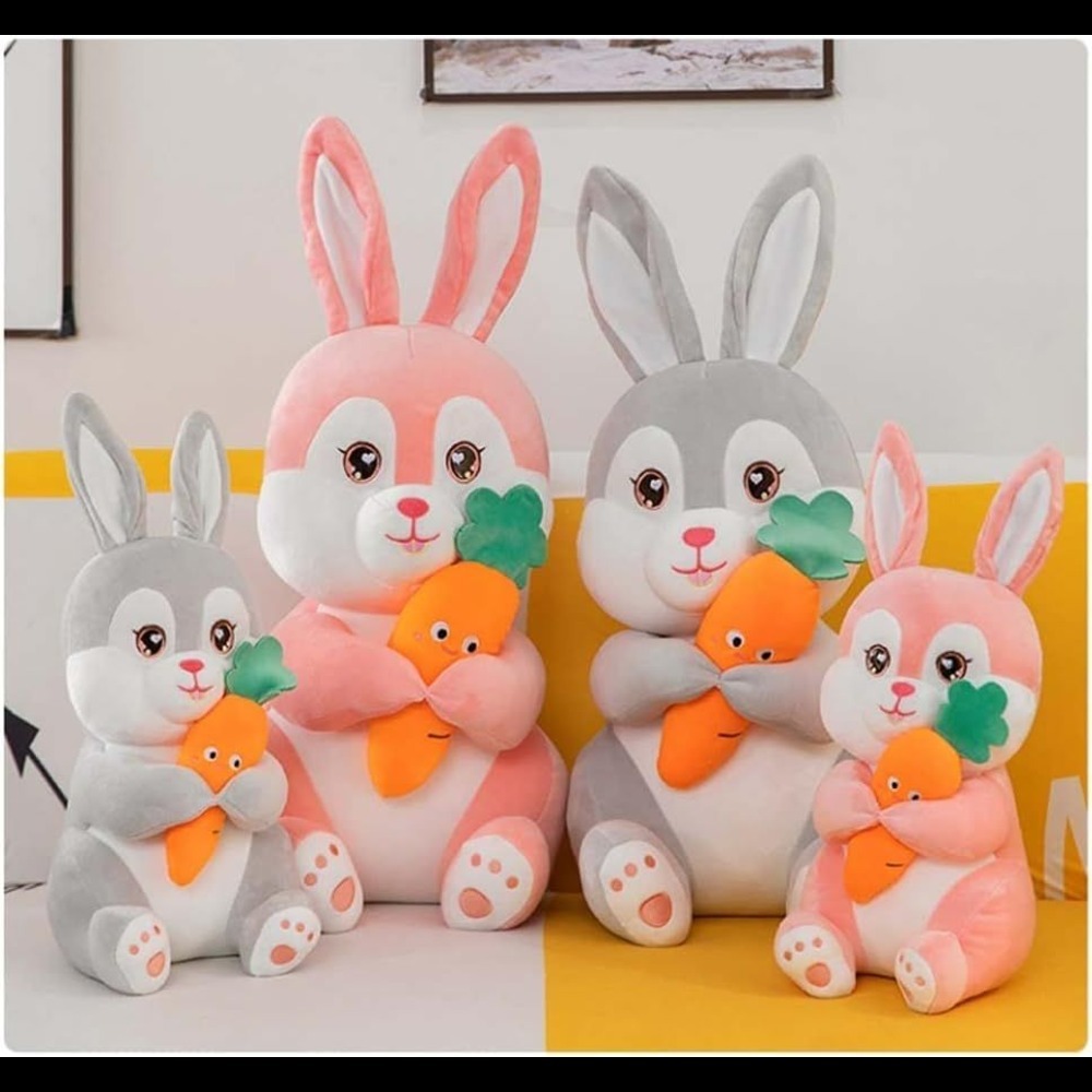 Premium International Carrot Bunny Soft Toy - 100% Quality Spandex Fabric | Cute, Creative Toy With Soft Carrot In Hand