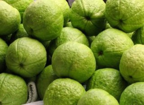 ताजा अमरूद