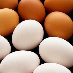 सफेद-भूरे - अंडे