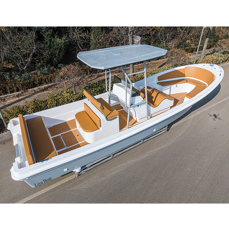 Liya 25feet Double Hull Fishing Fiberglass Boats With Twin Motors