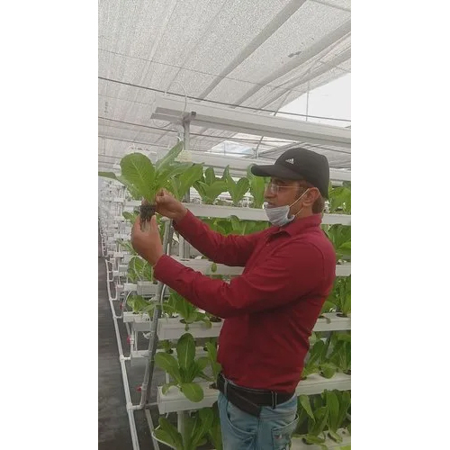 Home Grown Hydroponics Base Material: Pvc