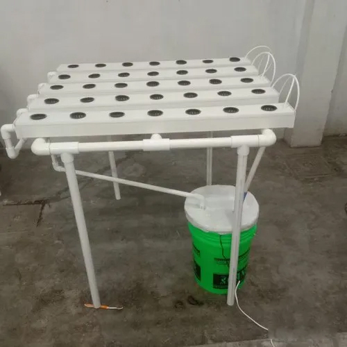Industrial Hydroponic System Farming Without Soil