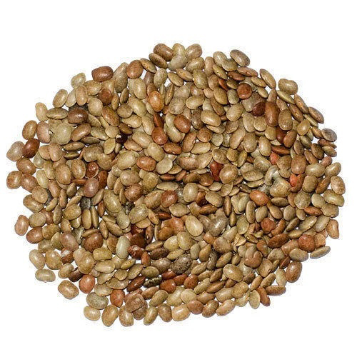 शुद्ध घोड़े का ग्राम