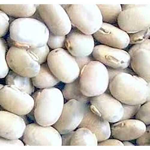 Mucuna Pruriens Extract - Herbal Blend For Commercial Use | Store In A Cool & Dry Place, Perfect For Supplement Production