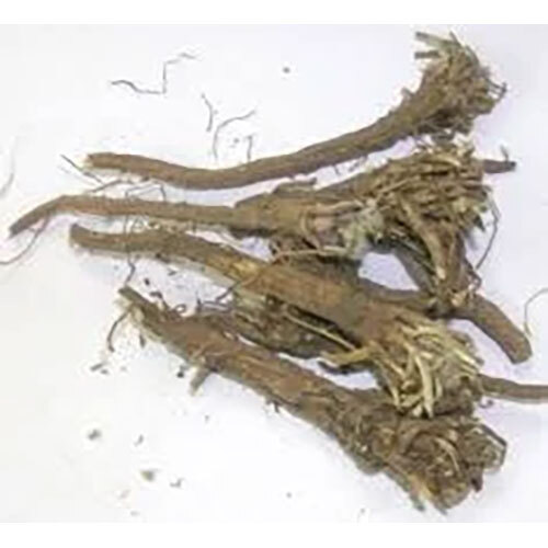 Anacyclus Pyrethrum Extract Ingredients: Herbs