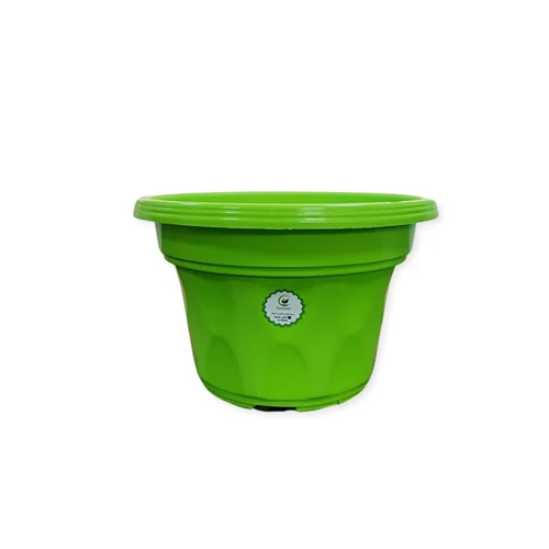 Blessing Multicolor Plastic P Flowerot 8 Inch - Color: Green