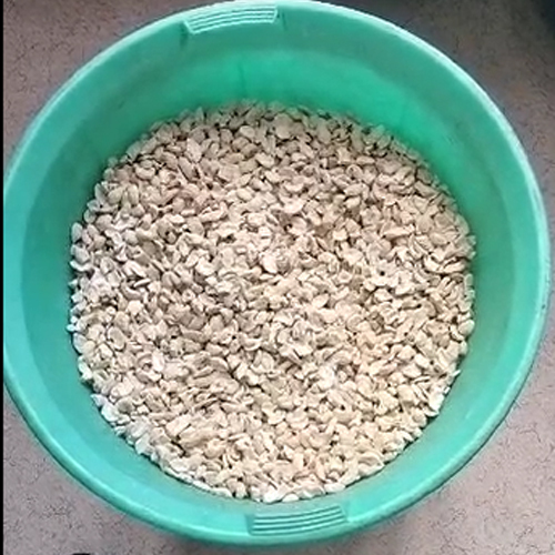 Lwp Grade Cashew Nut - Color: Skin