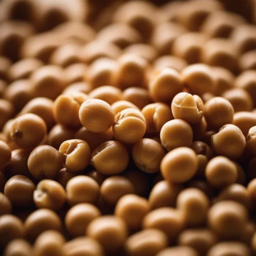 Chick Peas - Cultivation Type: Common