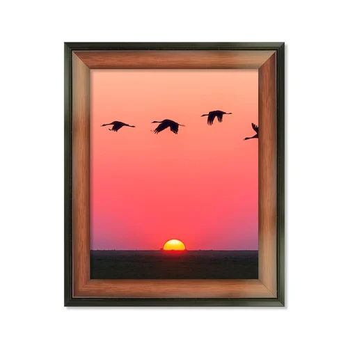 Picture Frame In Brown With Black Border - Frame Color: As Per Requirement