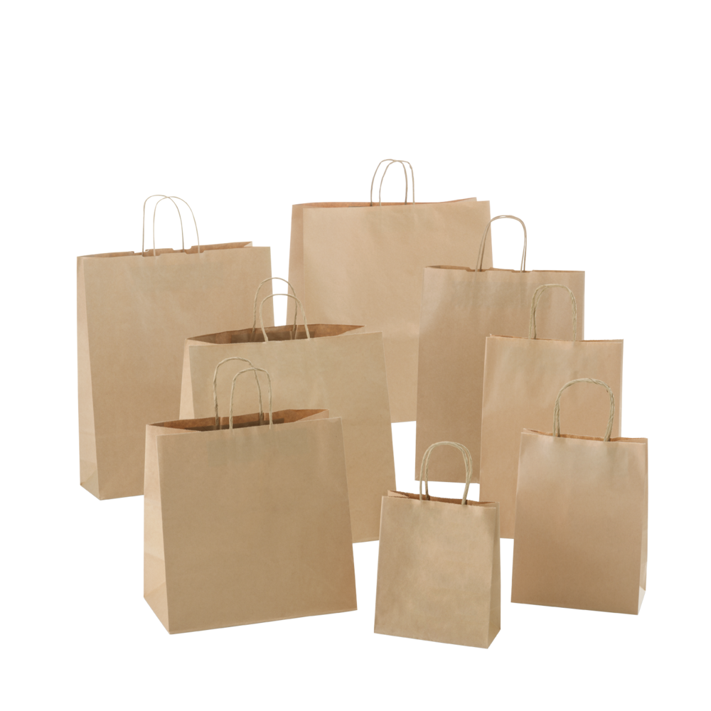 Pth 1 Paper Bag (W) Handle - Brown Kraft Paper, 275 X 195 X 100 Mm | Biodegradable, Compostable, Rope Handles, Artisanal Style