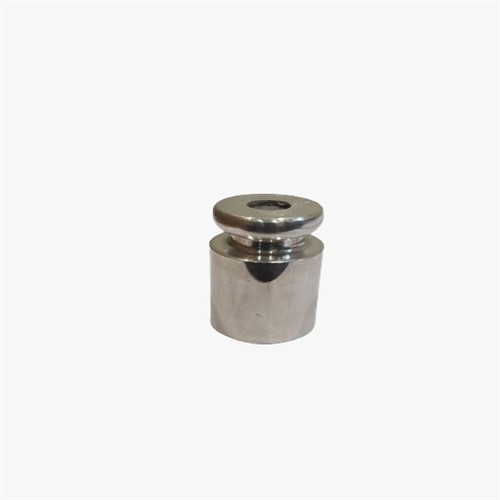 Ss Weight E2 -500gm - Capacity Range: 500 Gram (G)