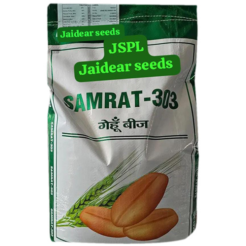 Common Samrat-303 Wheat Seed