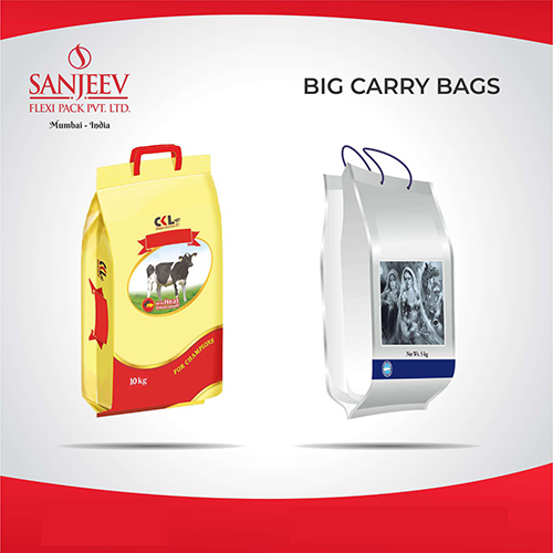 बिग कैरी बैग