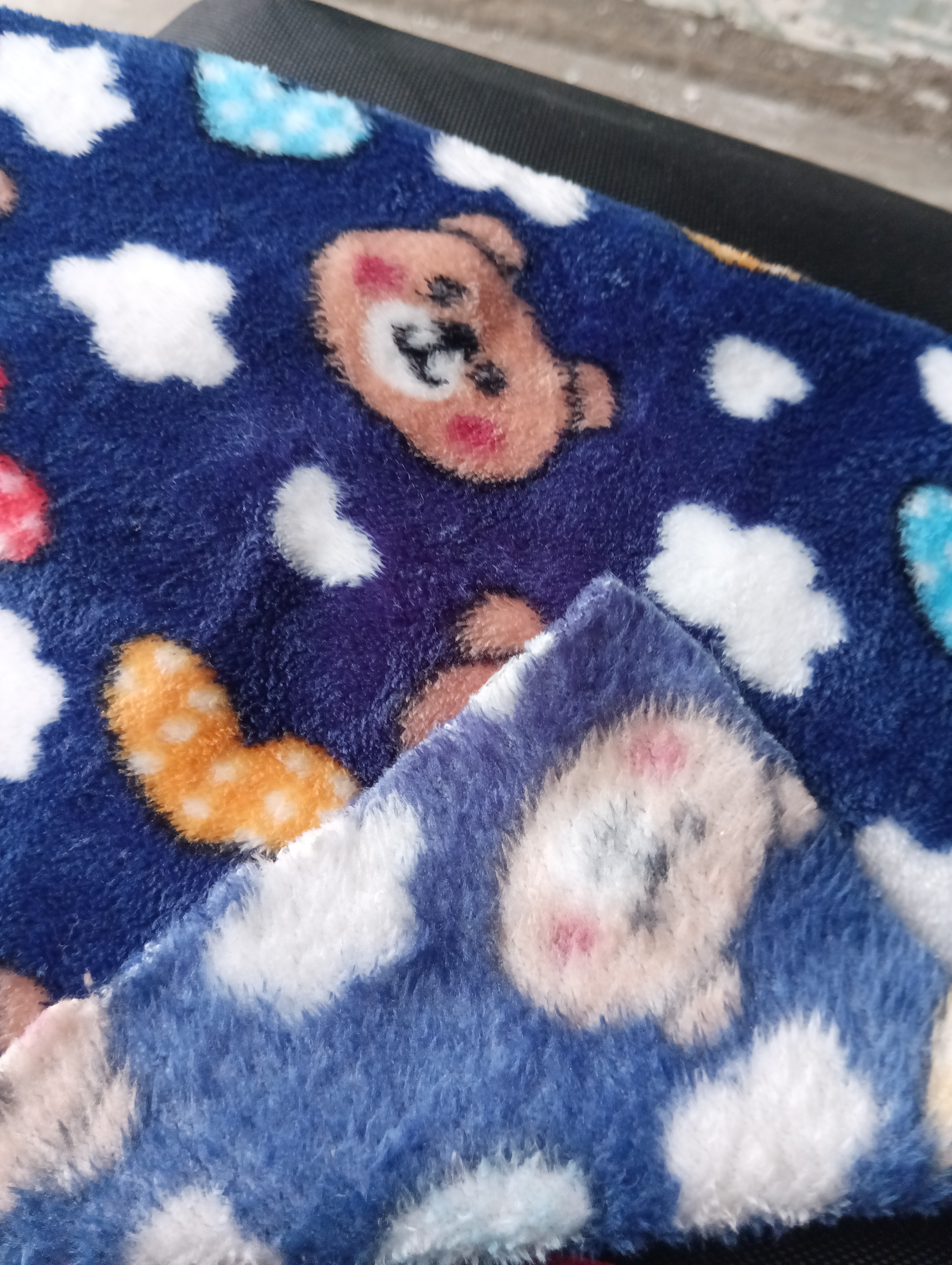 Coral Fleece Fabric