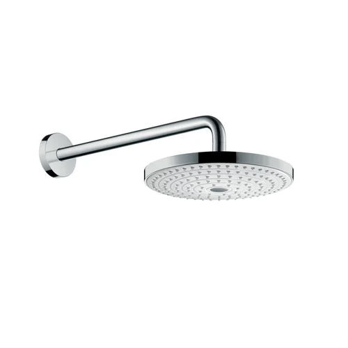 Silver Over Head Shower With Arm