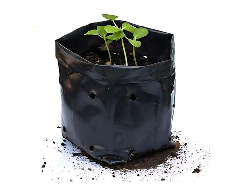 Nursery Poly Bag By Mipa Industries