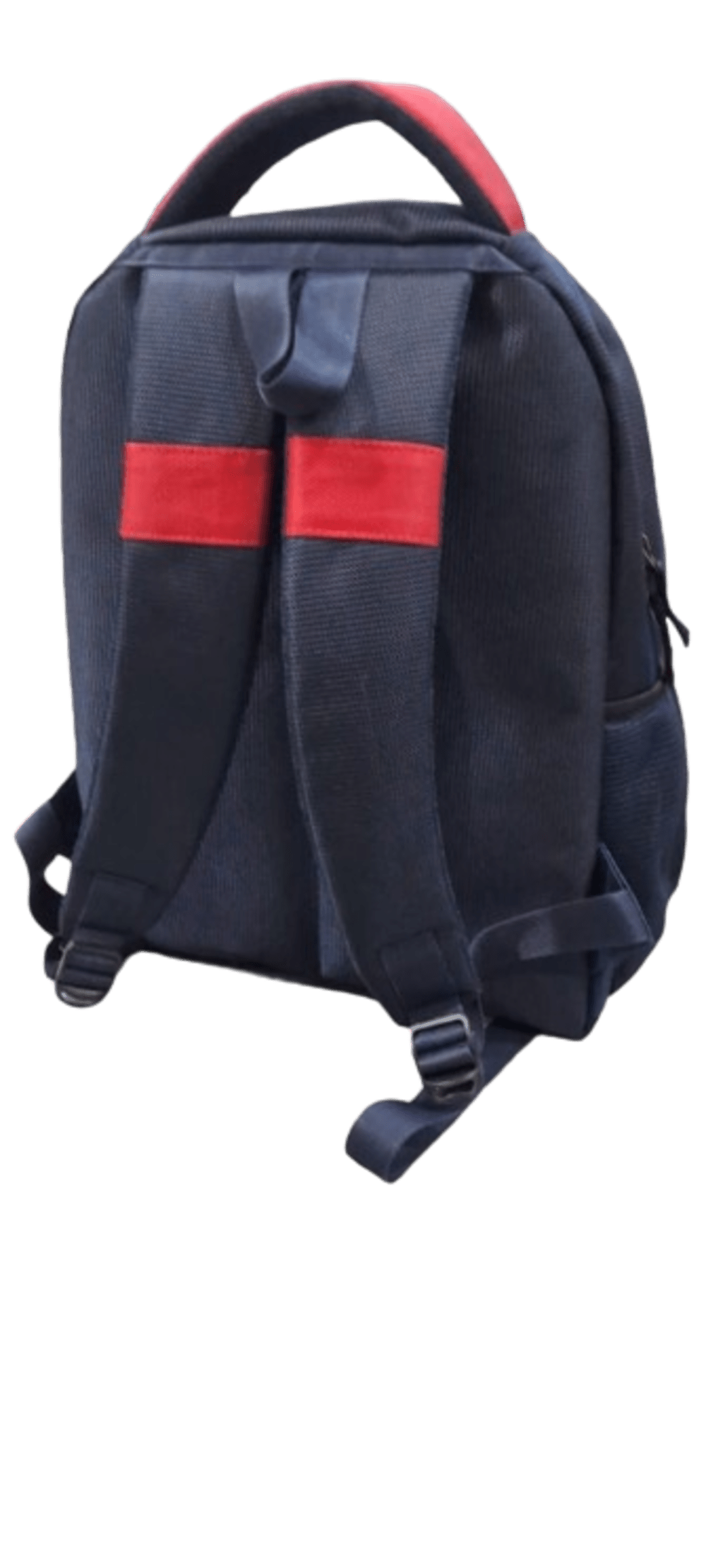 School Bag 01 - Eco-friendly Virgin Polyester, 16x12.5x6 Inches, Red & Blue | Lightweight, Double-zip, 25l Capacity, Casual & Formal Style