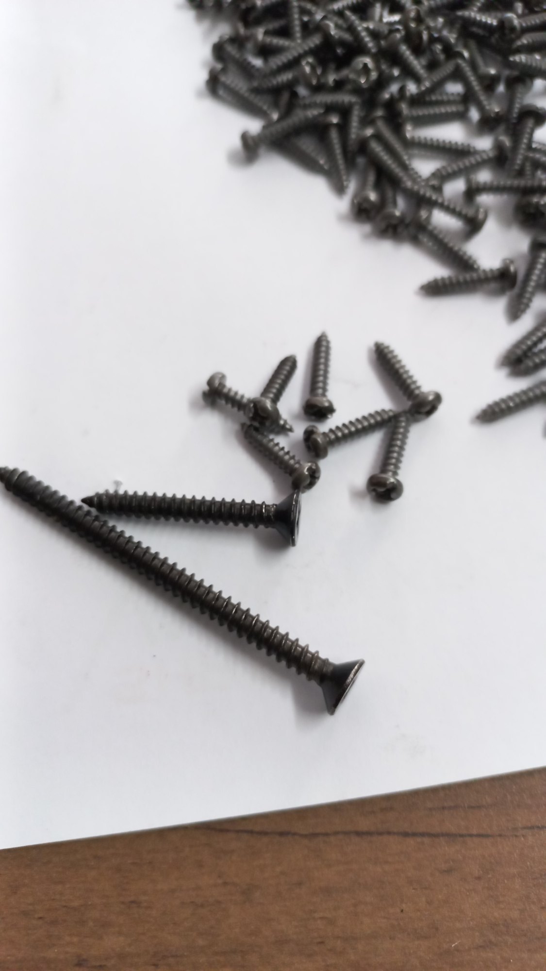 Ms Pc Screws - High-quality Brass Material, Various Sizes Available, Polished Finish, Corrosion Protection, Includes Warranty