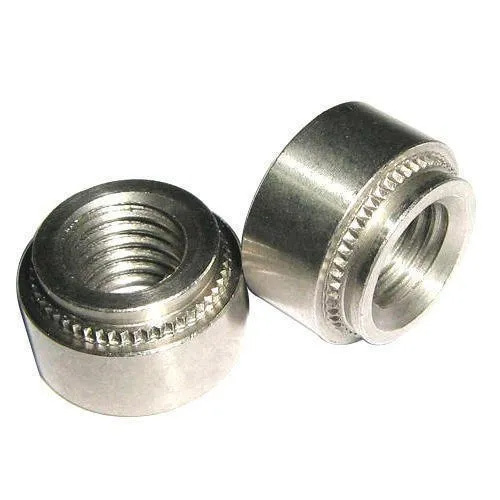 2.5 मिमी एसएस सेल्फ क्लिन्चिंग नट्स