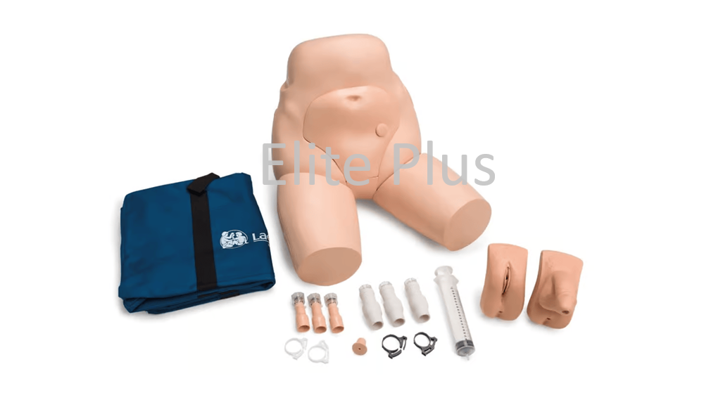 Interchangeable Catheterization And Enema Task Trainer - Color: Ivory