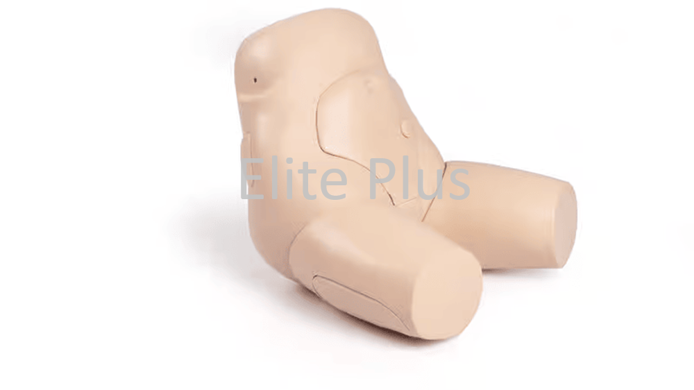 Interchangeable Catheterization And Enema Task Trainer - Color: Ivory
