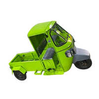 E-Rickshaw Loader - Battery Life: Lithium 3 Year Years
