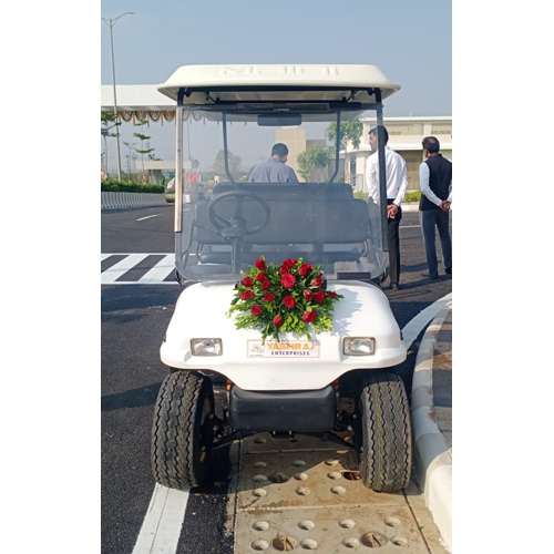 Electric Golf Cart - Battery Life: 3 Years