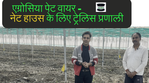 3.5 मिमी अग्रोसिया पेट वायर के लिए नेट हाउस