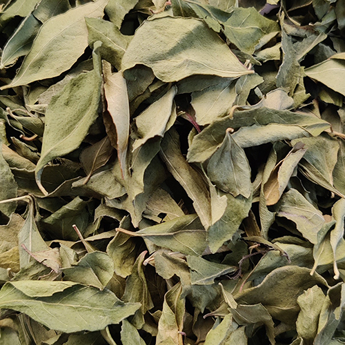 सूखे करी पत्ते