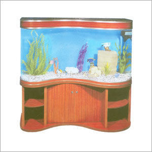 Freshwater Fish Aquarium