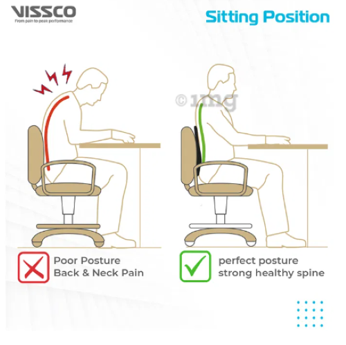 Smart Back Rest - Vissco Universal P.c. No 0121 Dimension (L*w*h): 47 X 38 X 10 Centimeter (Cm)