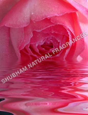 Rose Water - Color: Clear