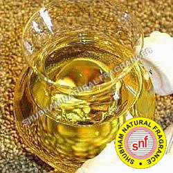 Gutkha Fragrance Compound - Chemical Name: Herbal Extract