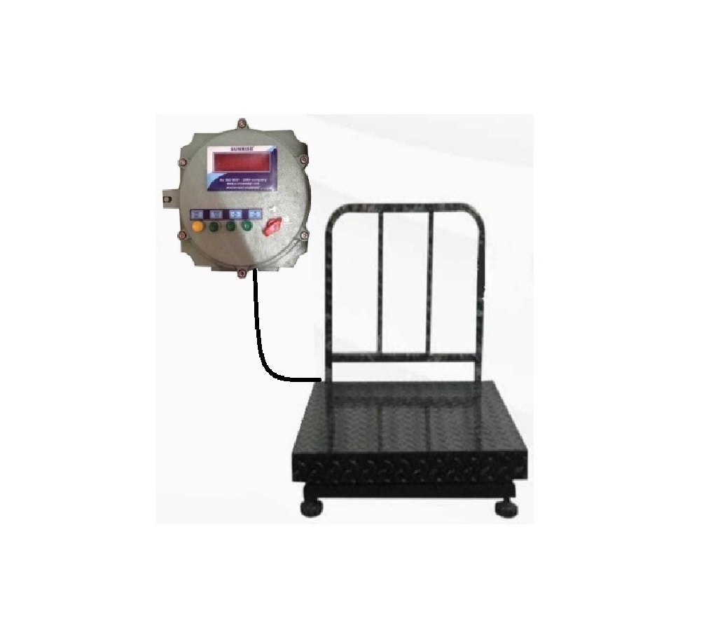 600 X 600 200 Kg Platform Scale With Flame Proof Indicator Warranty: 1 Year Mfg. Warrenty At Our Workshop At Ahmedabad
