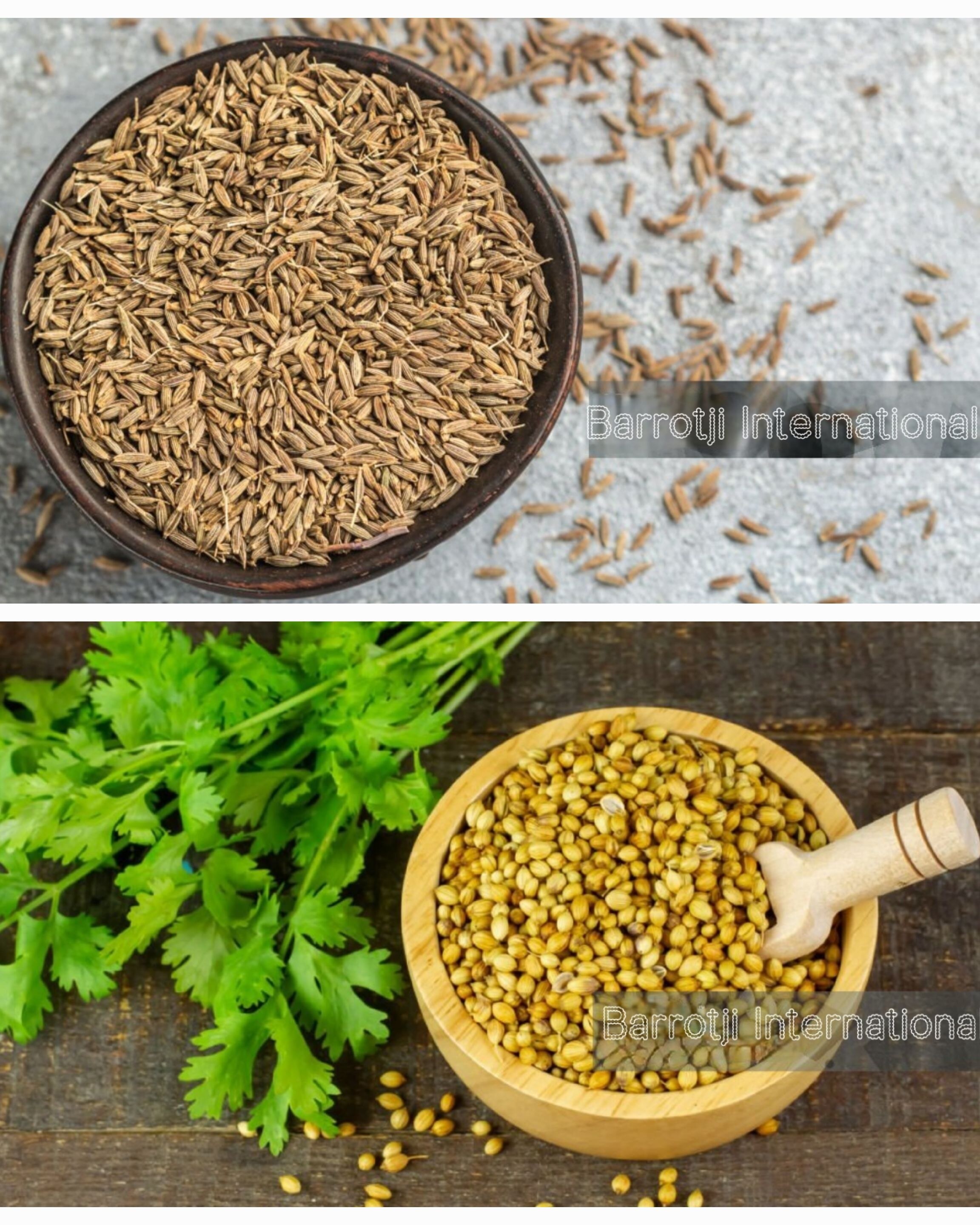 Cumin Coriander Powder - 1 Kilogram, Light Pastel Green Color, All Grades, Blended For Optimal Flavor, Shelf Life 1-2 Years, Cold & Dry Storage Recommended