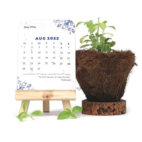 Plantable Kit - Round Multicolour Paper | Includes Plantable Seed Pen And Pencils