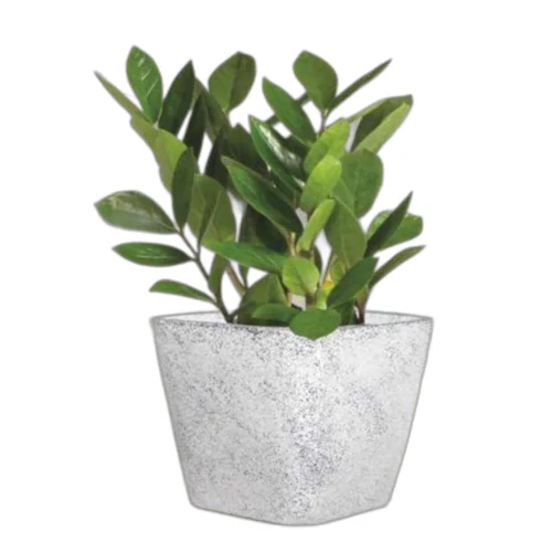 3130 Roto Moulding Planter - Color: White