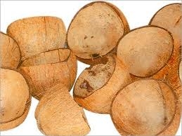 नारियल का खोल