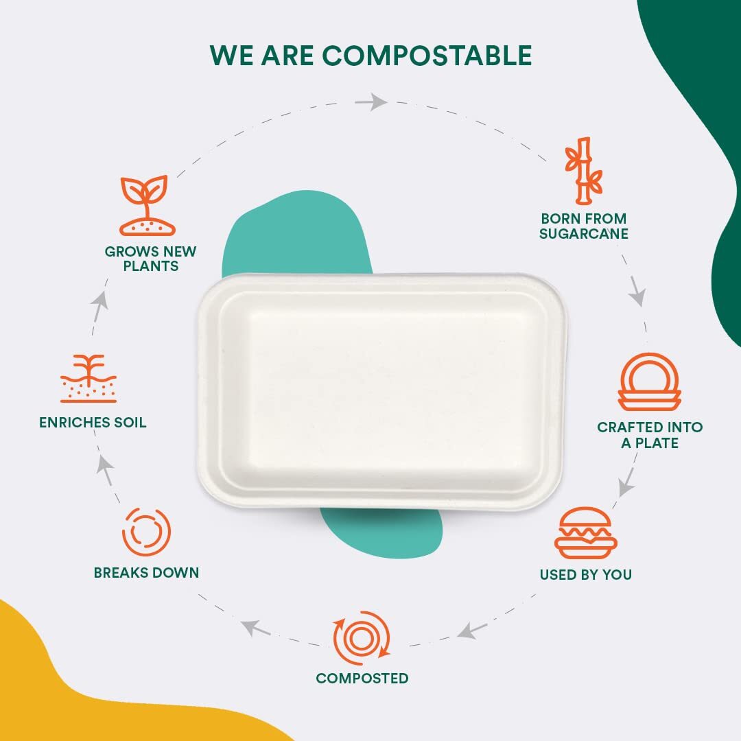 2d Bagasse Sugarcane Paper Tray - 100% Biodegradable, 8x6 Inch White Meal Tray | Eco-friendly, Microwave-safe, Durable For All Occasions