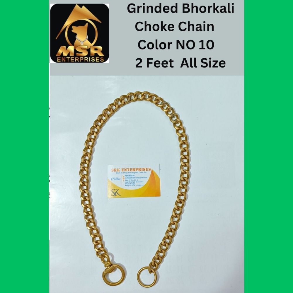2 Feet Color Grinded Twisted Iron Dog Choke Chain With Brass Bhorkalili - Color: Golden