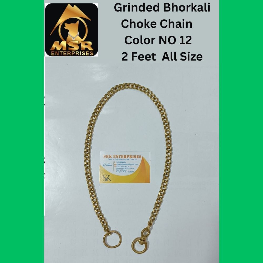 2 Feet Color Grinded Twisted Iron Dog Choke Chain With Brass Bhorkalili - Color: Golden