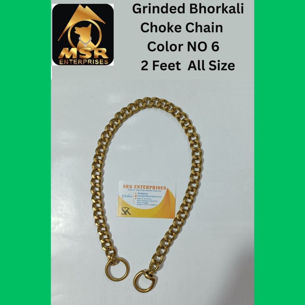 2 Feet Color Grinded Twisted Iron Dog Choke Chain With Brass Bhorkalili - Color: Golden