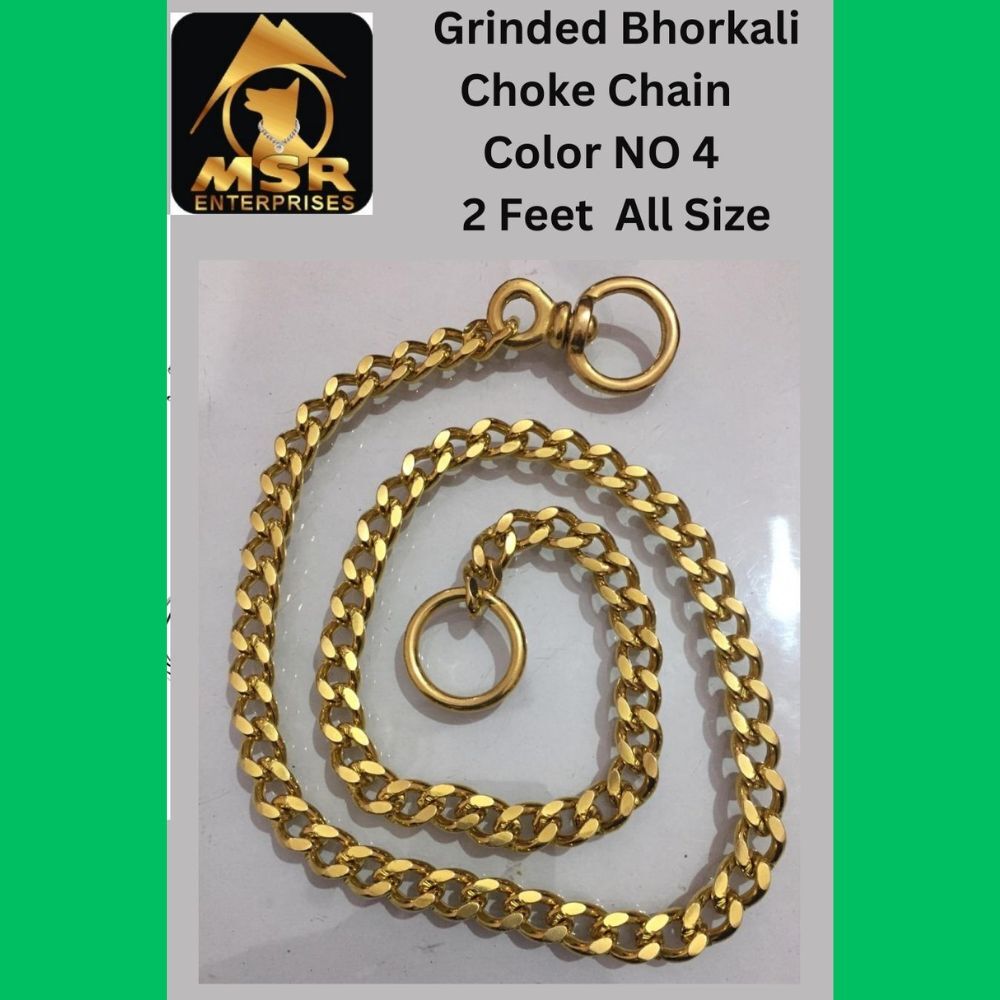 2 Feet Color Grinded Twisted Iron Dog Choke Chain With Brass Bhorkalili - Color: Golden