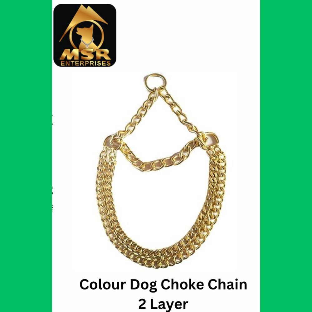 High Quality Iron Choke Collar Chain - 24 Inch, Yellow Gold Plated, Grinded Twisted Design For Dogs