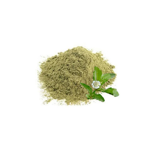 Bhringraj Powder Grade: Medical Grade