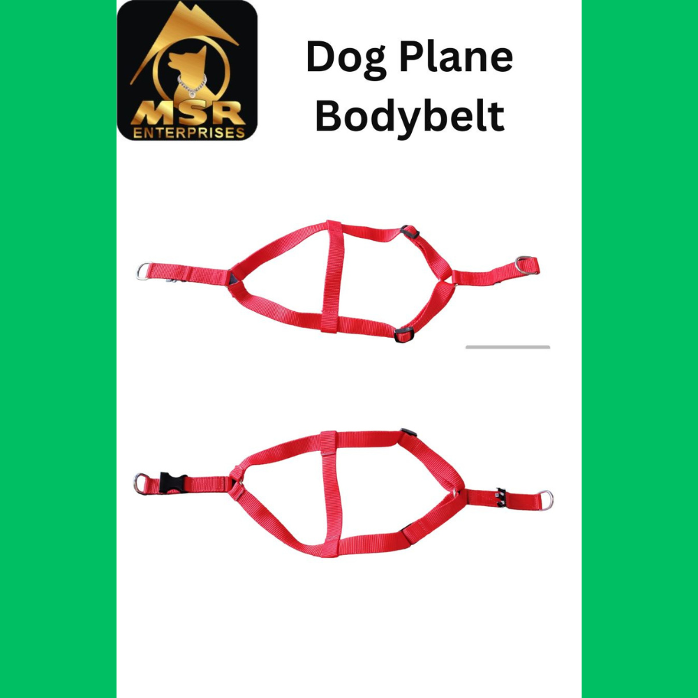 Dog Non Padded Body Belt Harness (Pp / Nylon) - 1.5 Inch | Vibrant Red, Adjustable Fit, Durable Design For Daily Walks And Travel
