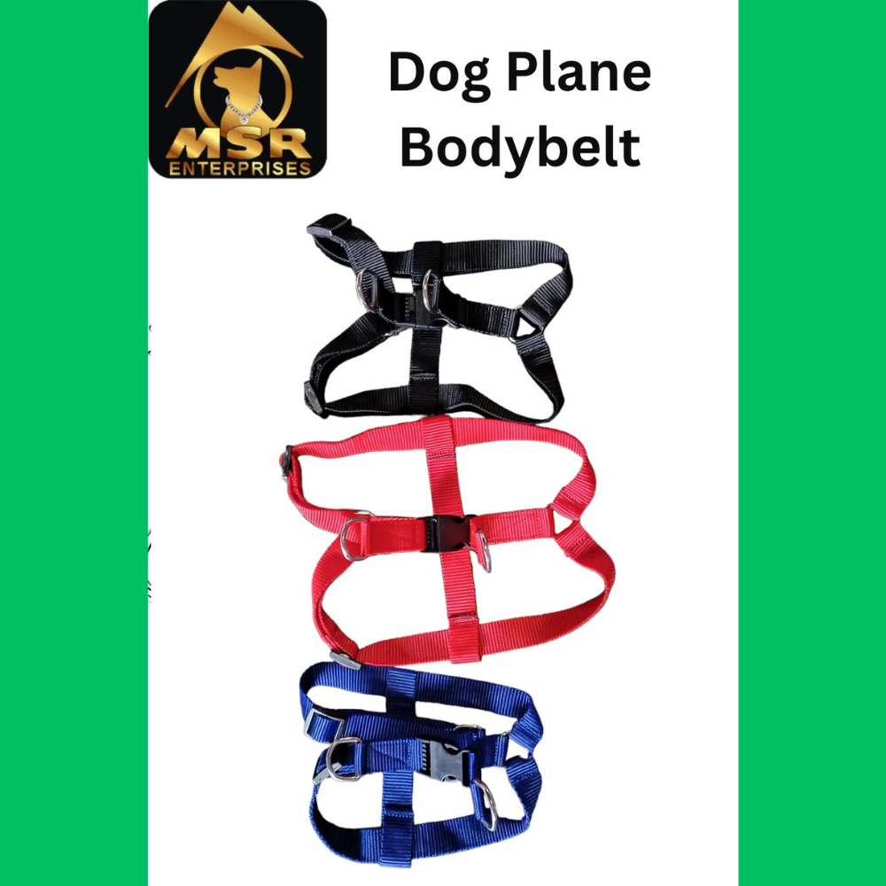Dog Non Padded Body Belt Harness (Pp / Nylon) - 1.5 Inch | Vibrant Red, Adjustable Fit, Durable Design For Daily Walks And Travel