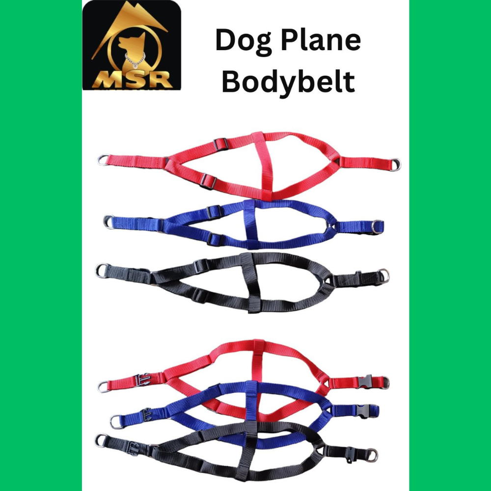 Dog Non Padded Body Belt Harness (Pp / Nylon) - 1.5 Inch | Vibrant Red, Adjustable Fit, Durable Design For Daily Walks And Travel
