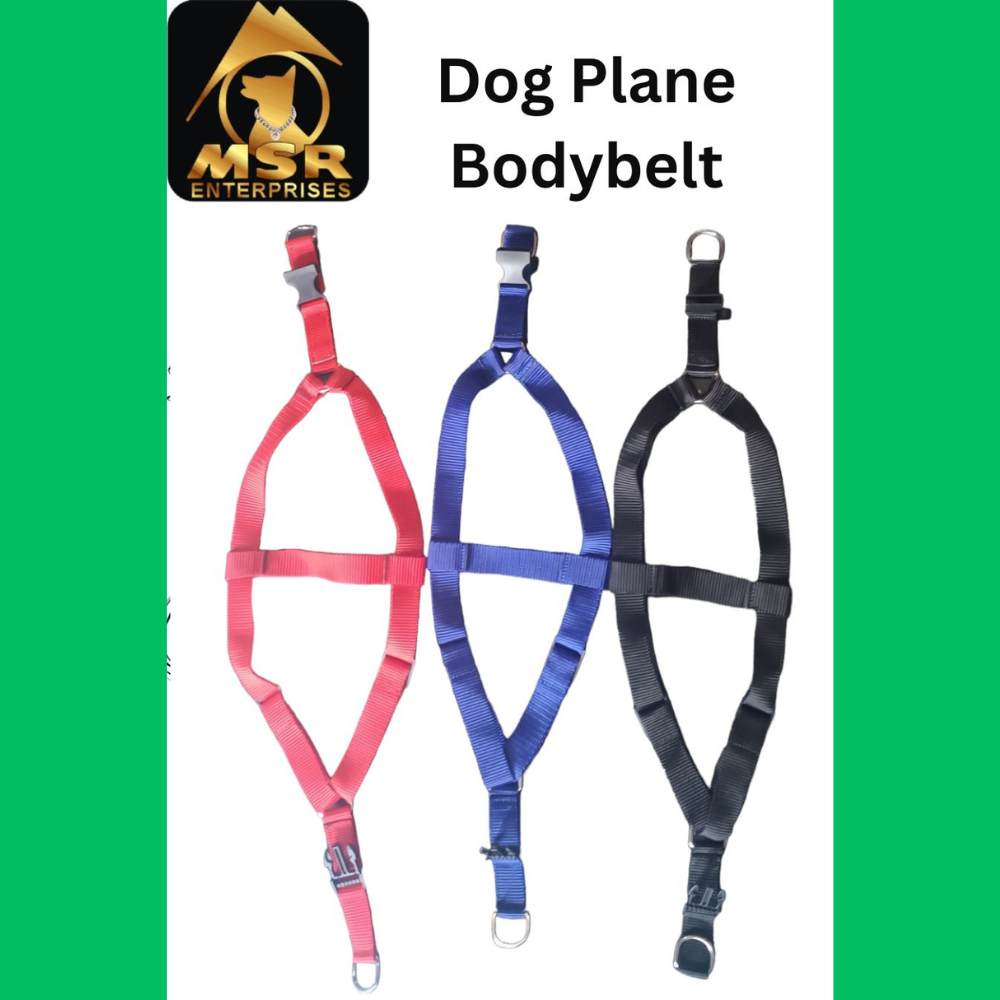 Dog Non Padded Body Belt Harness (Pp / Nylon) - 1.5 Inch | Vibrant Red, Adjustable Fit, Durable Design For Daily Walks And Travel