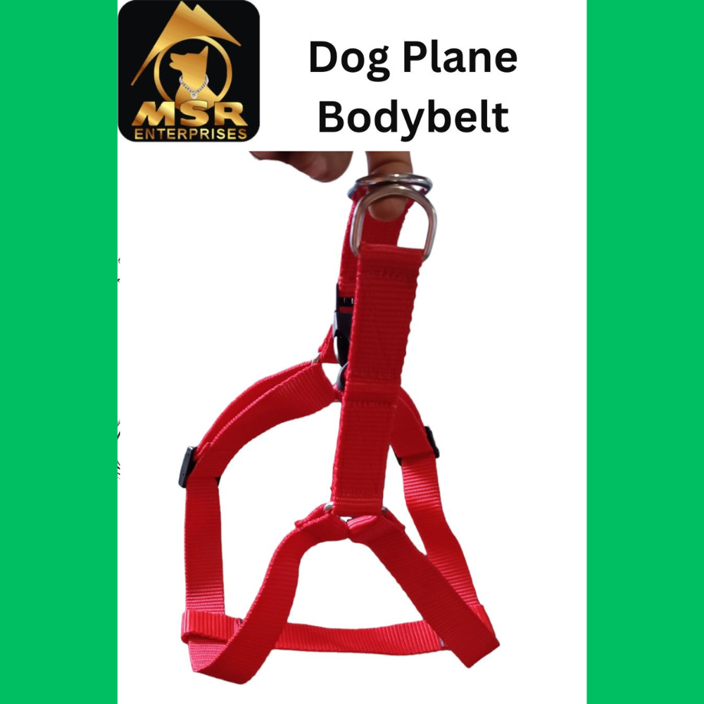 Dog Non Padded Body Belt Harness (Pp / Nylon) - 1.5 Inch | Vibrant Red, Adjustable Fit, Durable Design For Daily Walks And Travel